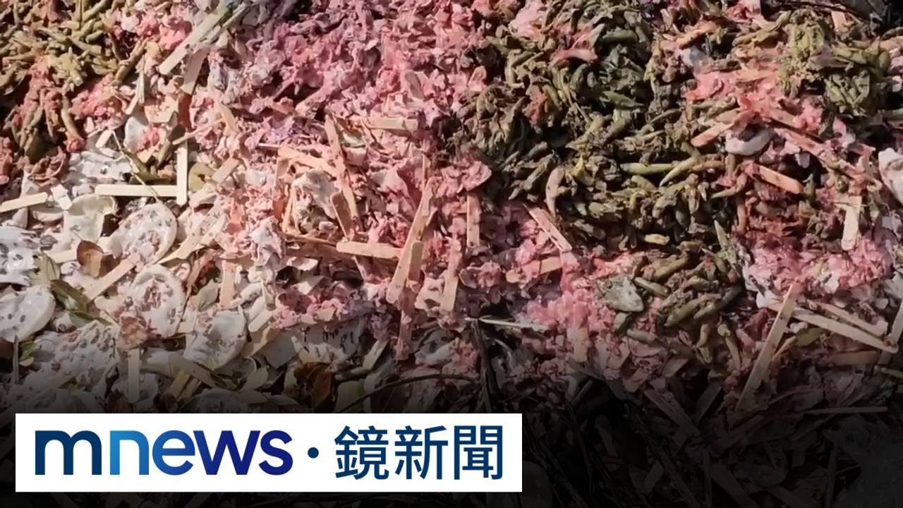 獨家／噁！百支紅豆冰棒丟草叢惹蒼蠅　環保局揪元凶是物流公司｜