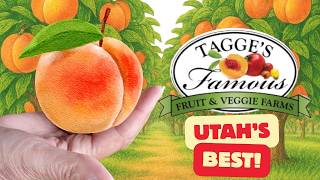 Best Utah Fruit Stand!
