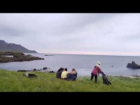 T.I.E. - Mi Još Imamo Volje (Official Video)