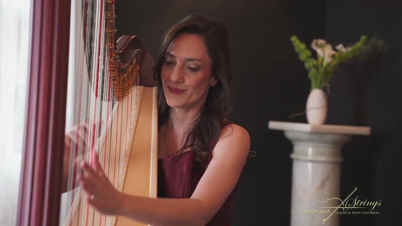 Opalite by Taylor Swift | Violin & Harp Duet | Classical wedding music at The Estate, Connecticut