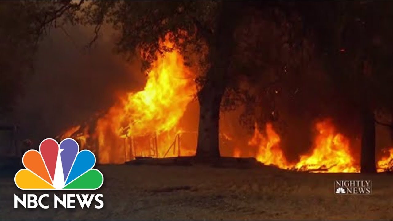 How The Government's Forest-Clearing Plan Aims To Fight Wildfires Before They Start