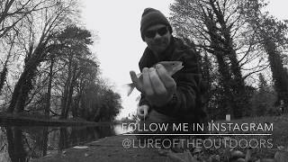 Dropshotting for perch using the double dropshot rig. 2 perch in 1 cast!