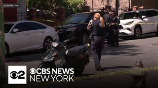 Celebrity Arrest made in 2024 shooting death of 16-year-old in the Bronx Wealth