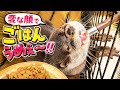 絶対に食欲には勝てないよね。でも変な顔で食べるのやめてw