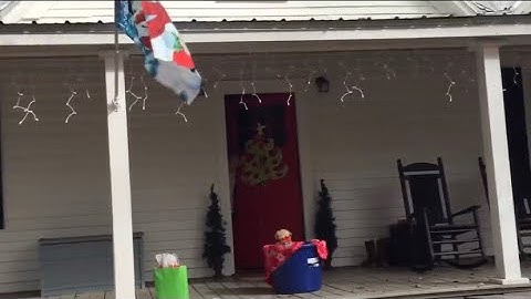 Sia - Puppies Are Forever (Music Video)