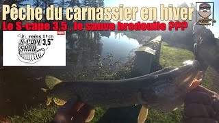 Pêche du carnassier en hiver - Le S-cape 3,5