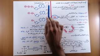 ملخص درس إستهلاك المادة العضوية و تدفق الطاقة  إنتاج الATP مدخل الدرس