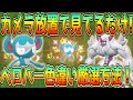 カメラ放置！見ているだけのベロバー色違い厳選方法！【ポケモンSV】