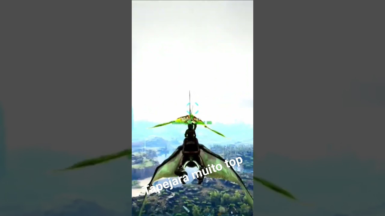 Tapejara é um dino muito top 