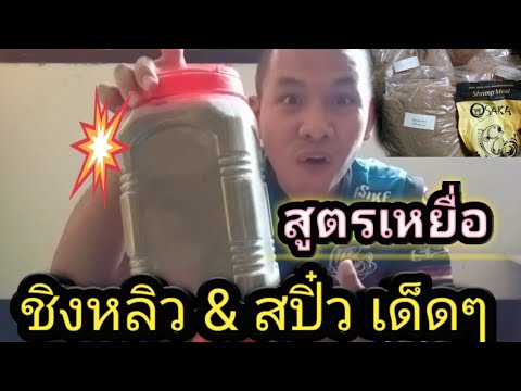 EP.49 สูตรเหยื่อ สปิ๋ว & ชิงหลิว เด็ดๆสายเหมาสายธรรมชาติไม่ควรพลาดเด็ดขาด👍🥰🎣🐟 | เนื้อหาที่เกี่ยวข้องสูตร อาหาร เด็ด ๆที่สมบูรณ์ที่สุด