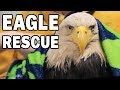 EAGLE RESCUE, REHAB, AND RELEASE - Sitka Alaska