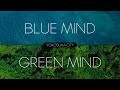 【横須賀市】BLUE MIND×GREEN MIND（15秒ショートムービー）
