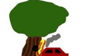 Short Video Done in Adobe Flash CS3