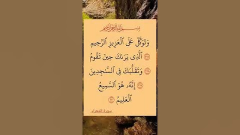 #القران_كريم 🎆#سوره #الشعراء #اكسبلور 🌸 #استغفرالله 🏵️#لايك