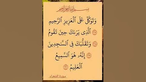 #القران_كريم 🎆#سوره #الشعراء #اكسبلور 🌸 #استغفرالله 🏵️#لايك