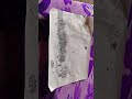 Forest 🌲 drawing ( 5 hours of work   )
