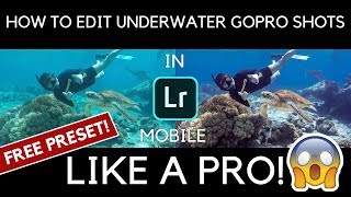 How to Edit / Color Correct Underwater Photos Lightroom Mobile IOS ANDROID TUTORIAL FREE DNG PRESET screenshot 4