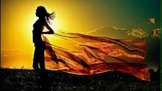 Electro House 2012 Dance Mix #56