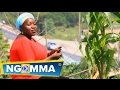 Tina Marego Uumbaji Wa Mungu Official Video
