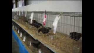 IPE 2006 Part 1