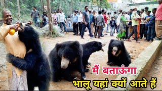 mungai mata mandir|mahasamund| chhattisgarh|india (भालू आने का रहस्य)