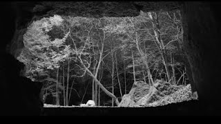 The Acid - Tumbling Lights