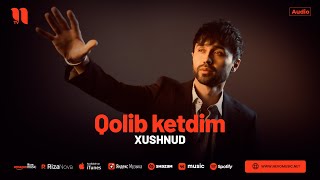 Хушнуд - Колиб Кетдим (Аудио 2024)