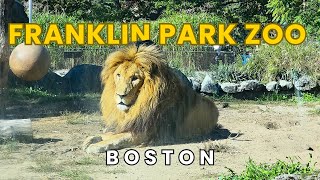 Zoo New England - Franklin Park Zoo Boston Full Tour