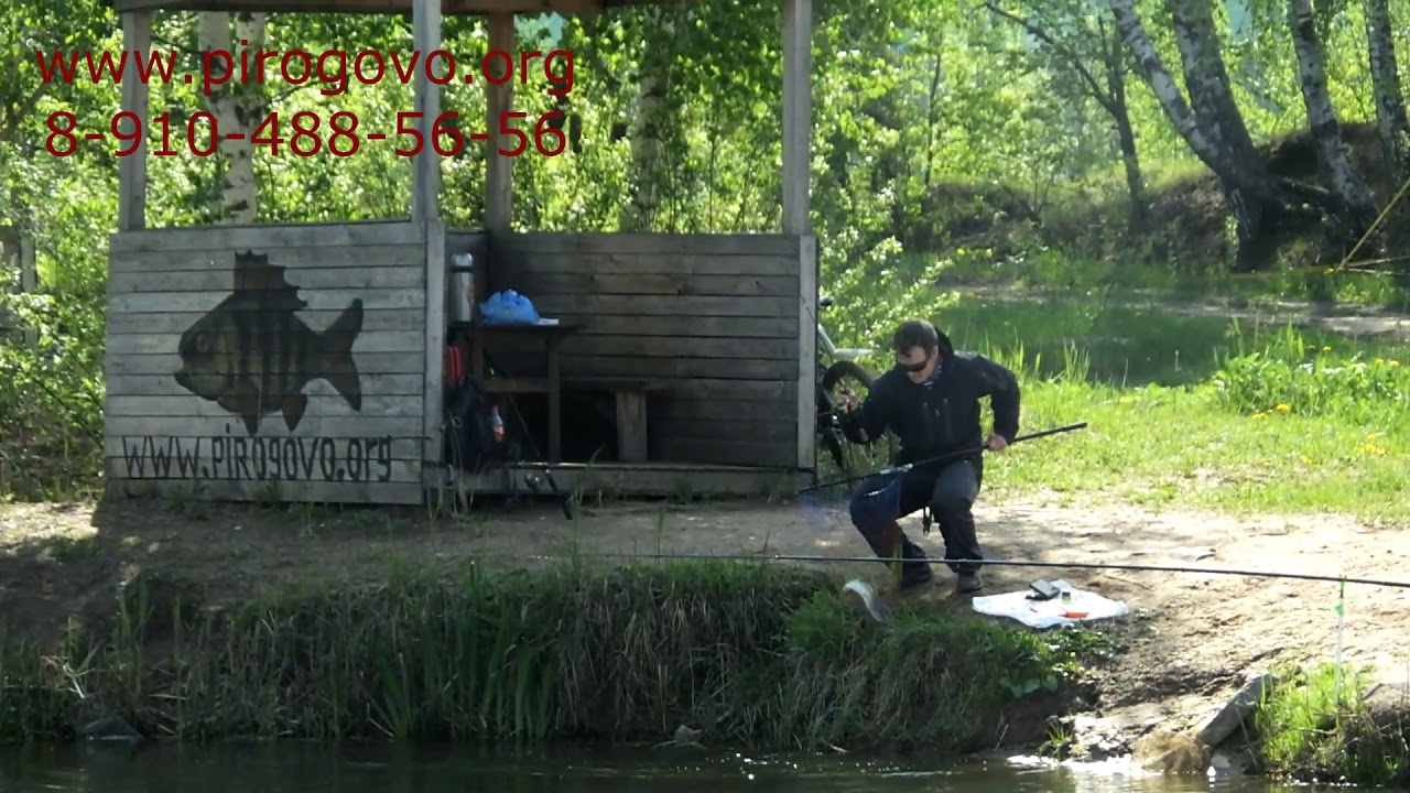 Чит на авто рыбалку