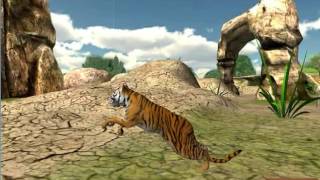 Wild Tiger Adventure 3D - Siberian Jungle Beast Animals Hunting Attack Simulator Gameplay screenshot 4