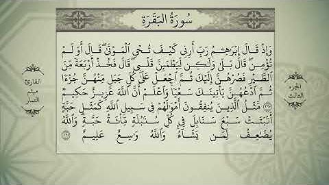 القرآن الكريم   الجزء الثالث   بصوت ميثم التمار