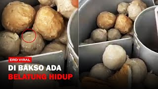 ADA BELATUNG HIDUP DALAM BAKSO YANG DIJUAL PEDAGANG