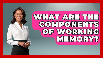 What Are The Components Of Working Memory? - Ultimate Study Hacks