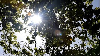 Video thumbnail of "Il seme del tuo campo, Coro Ploe di Rosis"