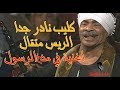 أغنيه في مدح الرسول :: الريس متقال :: كليب نادر