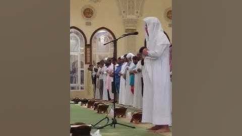 القارئ/ محمد عبدالعليم شوشان