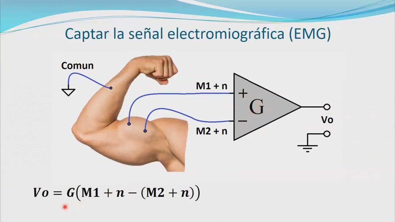 Introducción a la Biorrobótica - Control de Robots por interfaz neuronal
