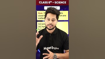 The Raw Material Used to Prepare a Dish Are Called? | Class 6th Science Chapter 1 #shorts