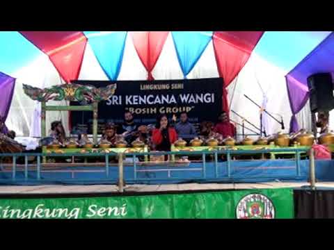 Bosch E06 foutcode diagnose en reparatie