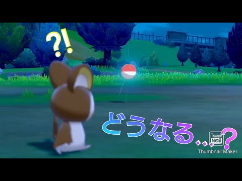 ポケモン剣盾 キャンプで投げてすぐボールをとりあげると Youtube ポケモン剣盾 キャンプで投げてすぐボールをとりあげると Youtube
