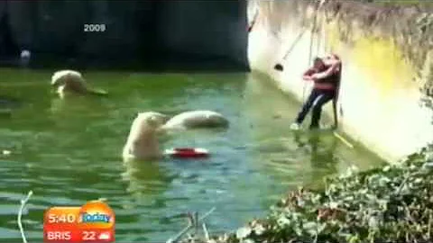 Man survives polar bear attack