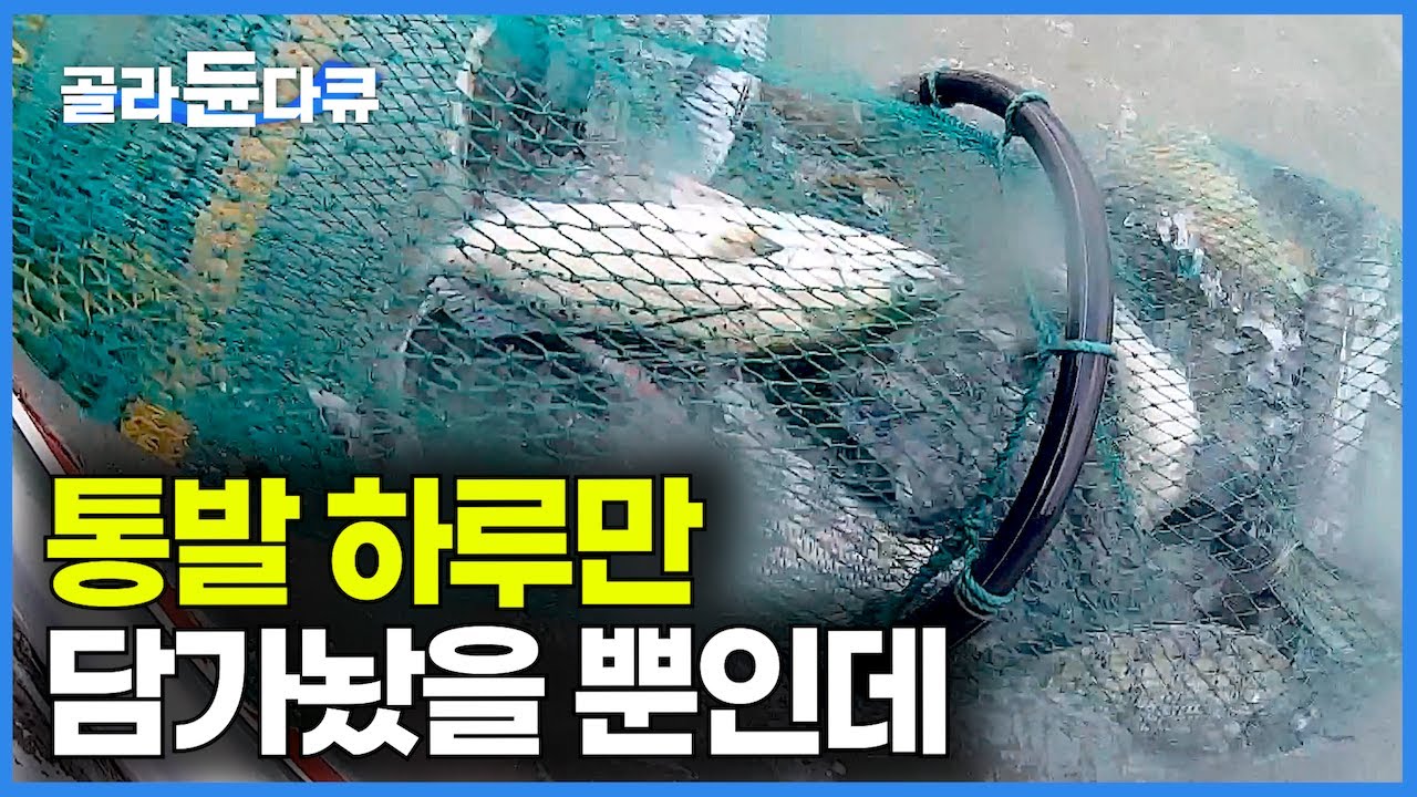 이런 부부 처음본다. 잔뜩 기대하고 하루만에 꺼낸 통발 부부가 깜짝 놀란 이유｜섬에 들어와 매일 물고기 꺼내먹는 섬부부｜한국기행｜#골라듄다큐