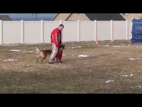 UPS K-9 Utah 2-20-2010 Search 2