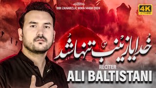 Download Lagu Khudaya Zainab Tanha Shud        Ali Baltistani MP3