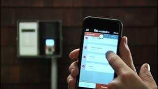 FXL: Programming with the Luxor App