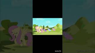 Maybe Fluttershy Loves Sheep But Mlp Edit
