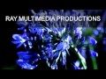 Ray multimedia productions