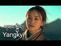 Yangkyi new tibetan song 2024  