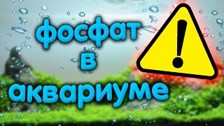 Фосфат или фосфор в аквариуме. Почему исчезает, пропадает, обнуляется фосфат, сколько его нужно.