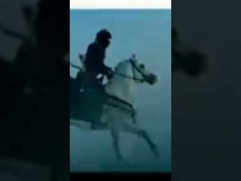 قيامة ارطغرل الحلقه 303 